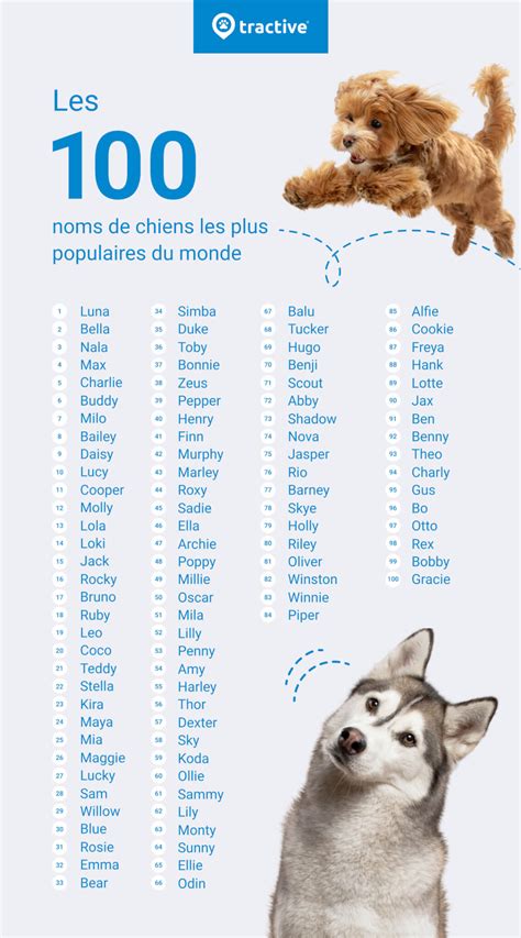 nom du chien de coco chanel|coco chanel code.